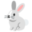 :rabbit2: